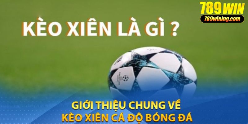 Định nghĩa về kèo xiên bóng đá tại thương hiệu 789WIN