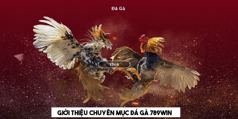 Giới thiệu chuyên mục đá gà 789win