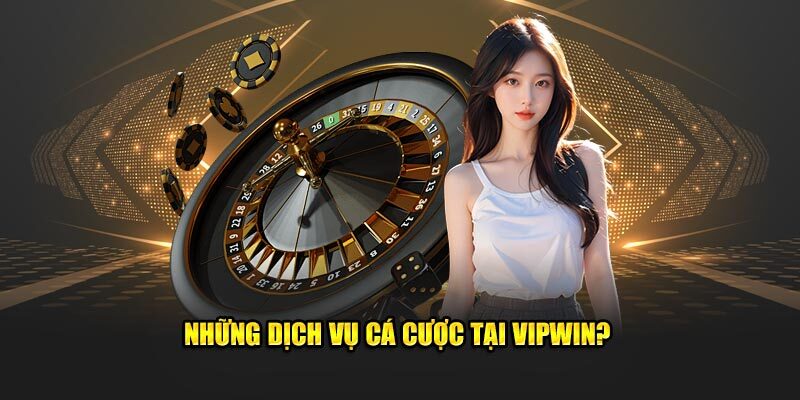 Một số thể loại giải trí hấp dẫn thu hút thành viên